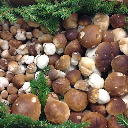 Charmantes Landhaus Mit Garten Und Traumhaftem Fernblick Thal  Екстер'єр фото
