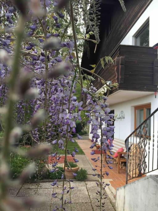 Charmantes Landhaus Mit Garten Und Traumhaftem Fernblick Thal  Екстер'єр фото
