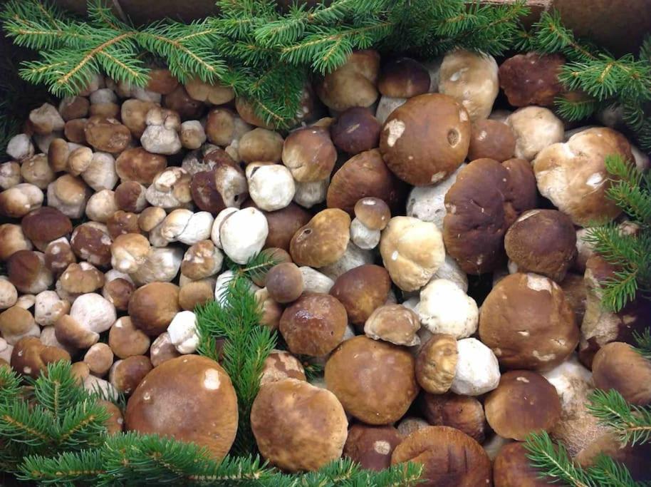 Charmantes Landhaus Mit Garten Und Traumhaftem Fernblick Thal  Екстер'єр фото