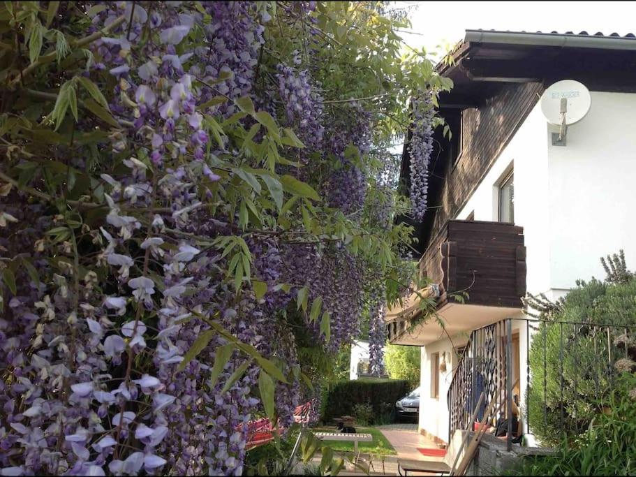 Charmantes Landhaus Mit Garten Und Traumhaftem Fernblick Thal  Екстер'єр фото