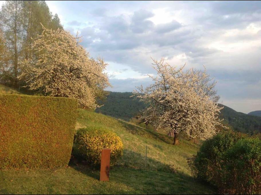 Charmantes Landhaus Mit Garten Und Traumhaftem Fernblick Thal  Екстер'єр фото