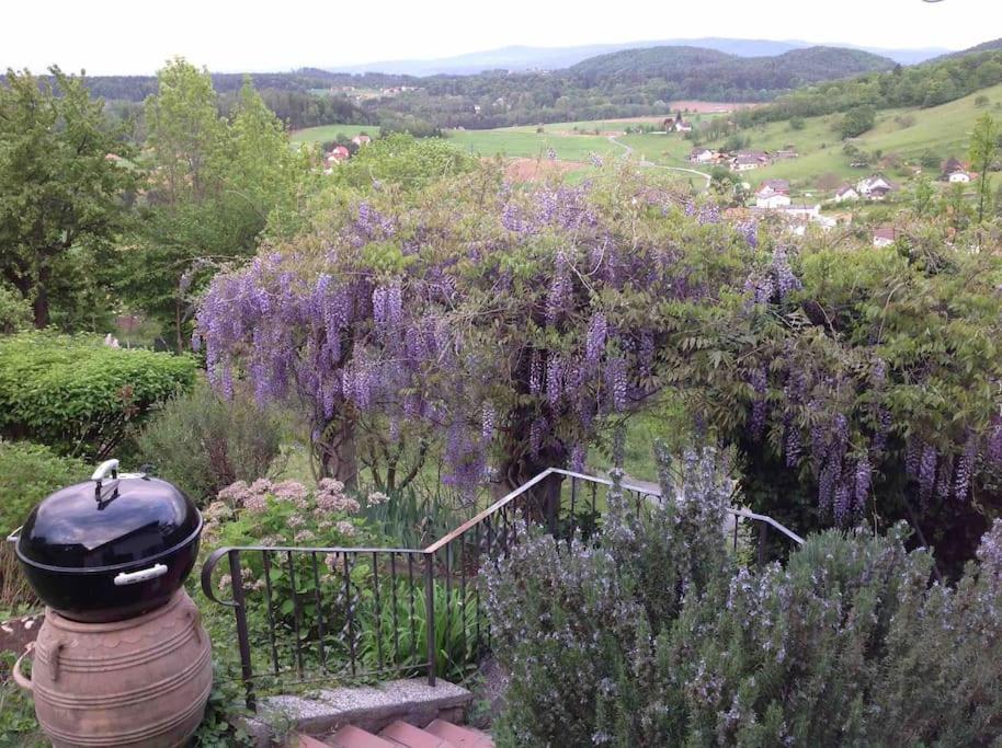 Charmantes Landhaus Mit Garten Und Traumhaftem Fernblick Thal  Екстер'єр фото